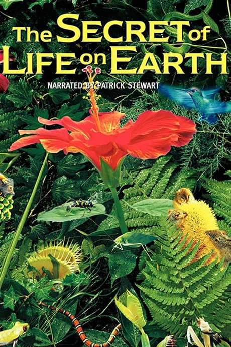The Secret of Life on Earth